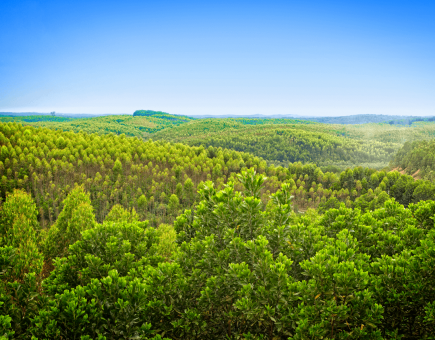 Our commitment to sustainability